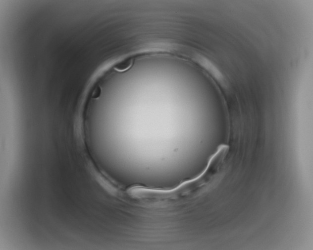 X0000114411072200910231127
