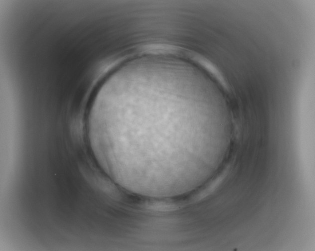 X0000114411074200910231127