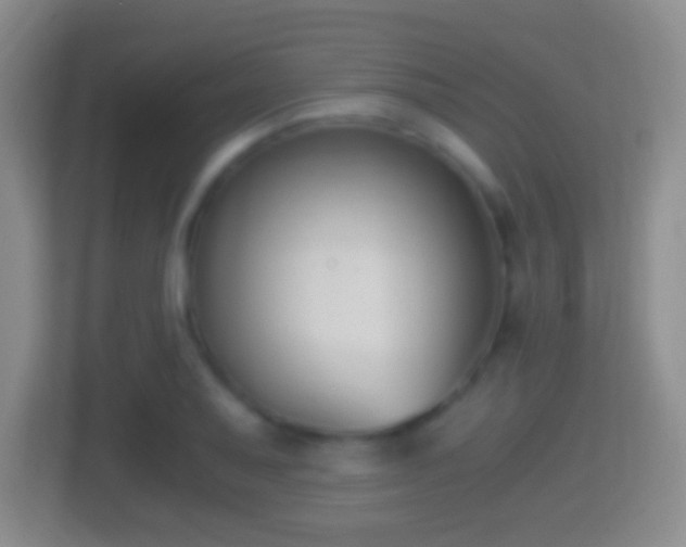 X0000114411079200910231127