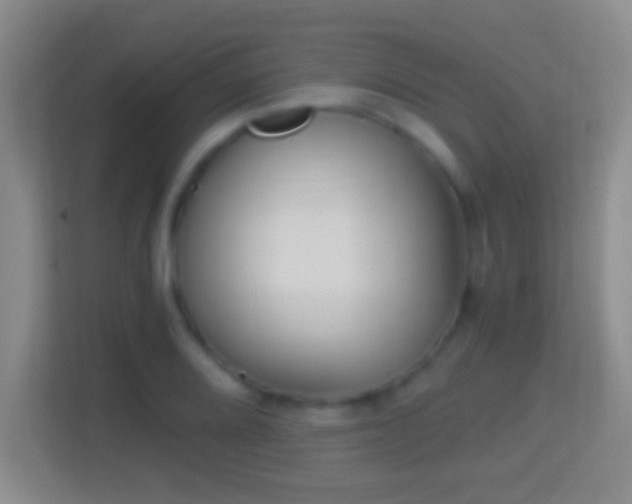 X0000114411080200910231127