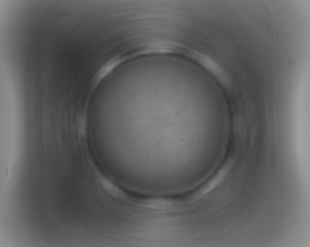 X0000114411081200910231127