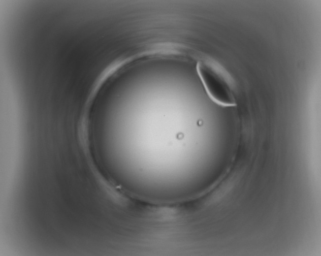 X0000114411085200910231127