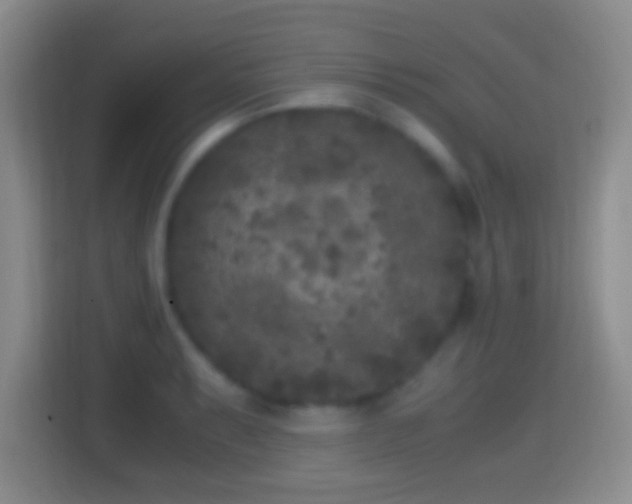 X0000114411087200910231127