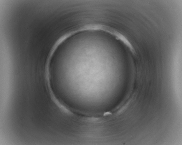 X0000114411088200910231127