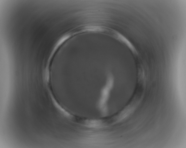 X0000114411095200910231127