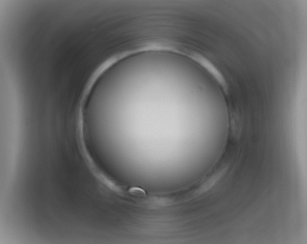 X0000114411096200910231127