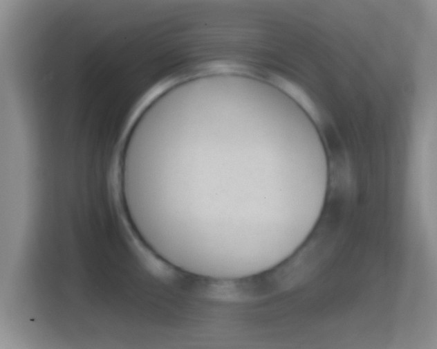 X0000114411098200910231127