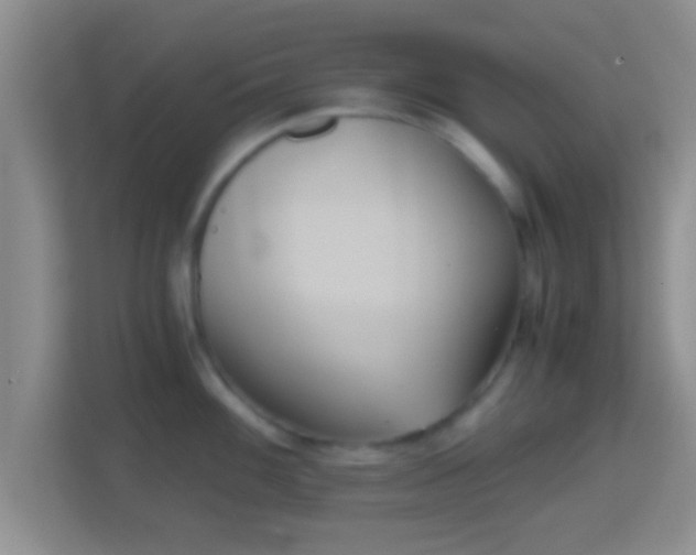 X0000114411100200910231127