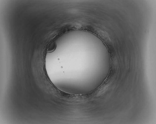 X0000114411105200910231126