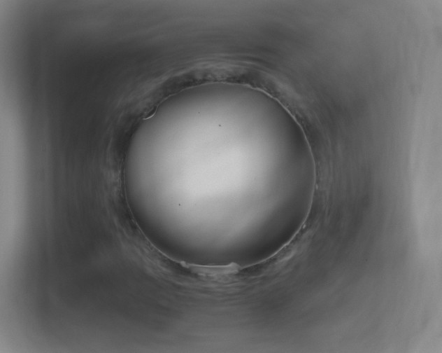 X0000114411109200910231126