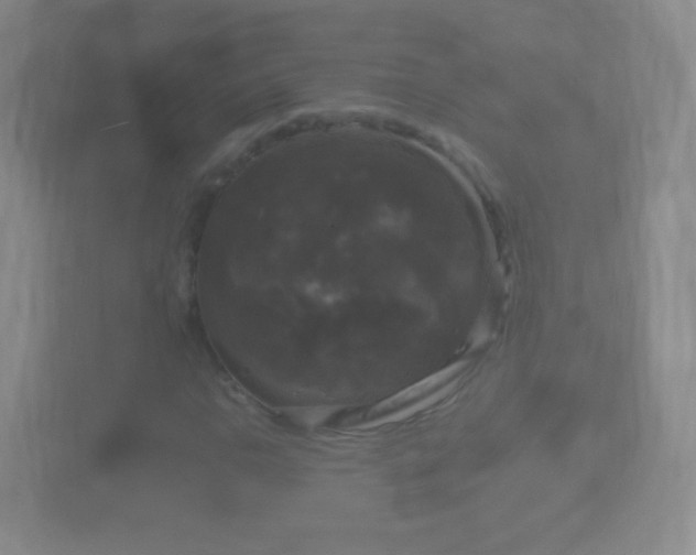X0000114411110200910231126