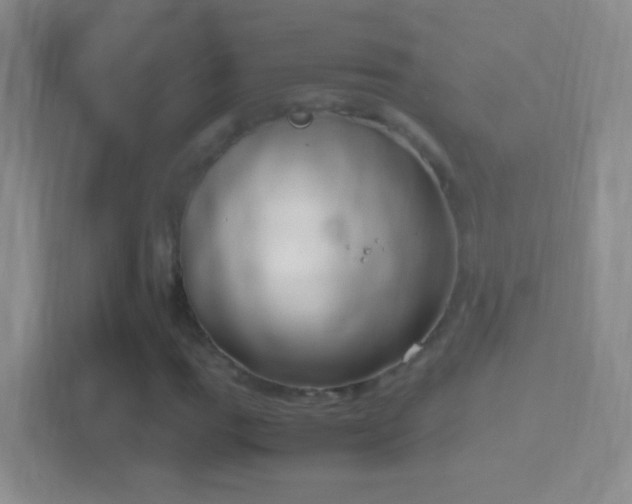 X0000114411111200910231126