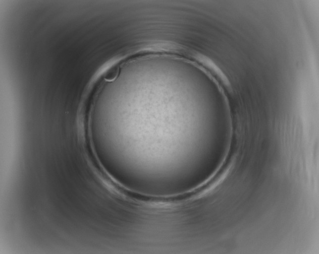 X0000114411114200910231127