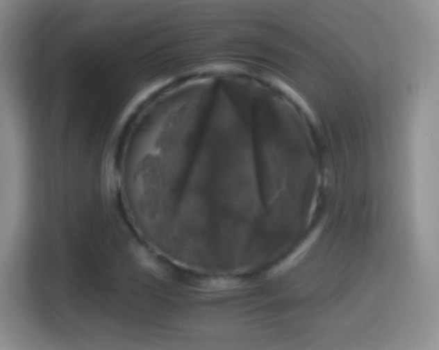 X0000114411117200910231127
