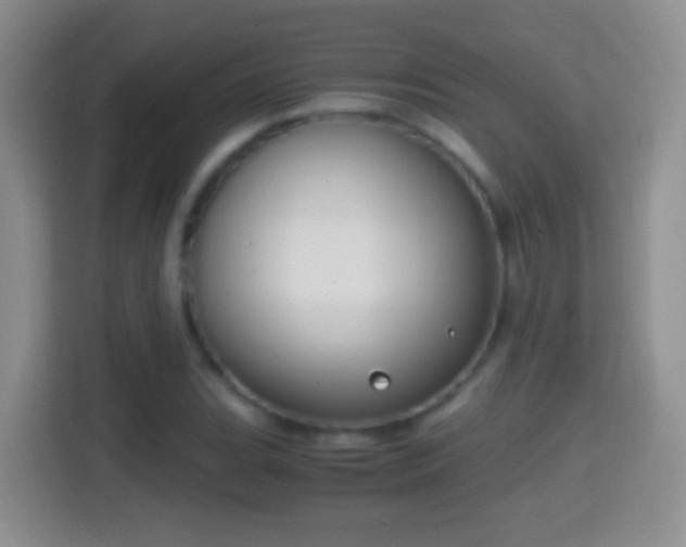X0000114411119200910231127