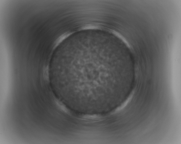 X0000114411121200910231127