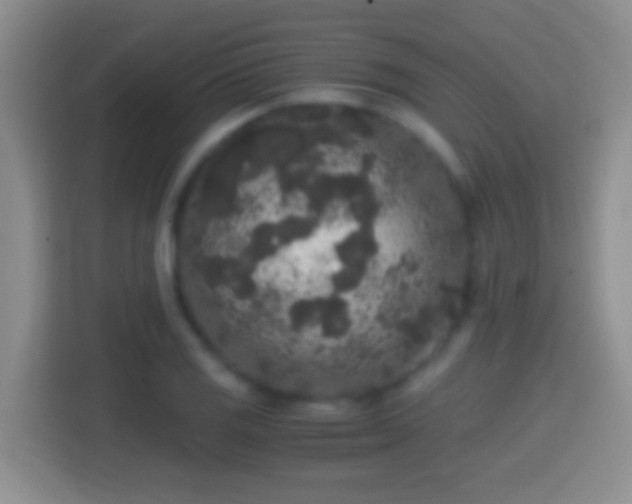 X0000114411125200910231127