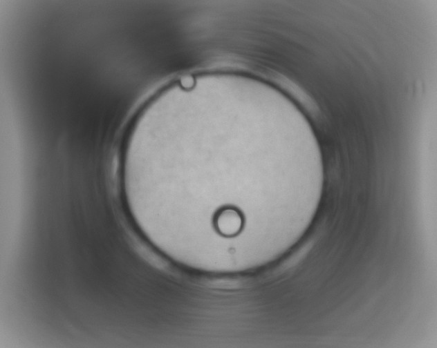 X0000114411126200910231127