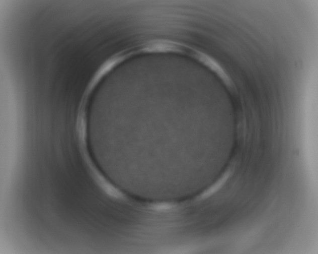 X0000114411130200910231127