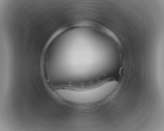 X0000114411138200910231127