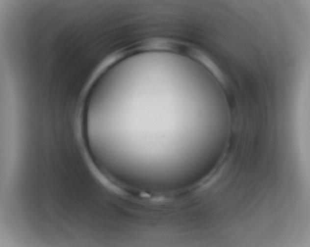 X0000114411139200910231127