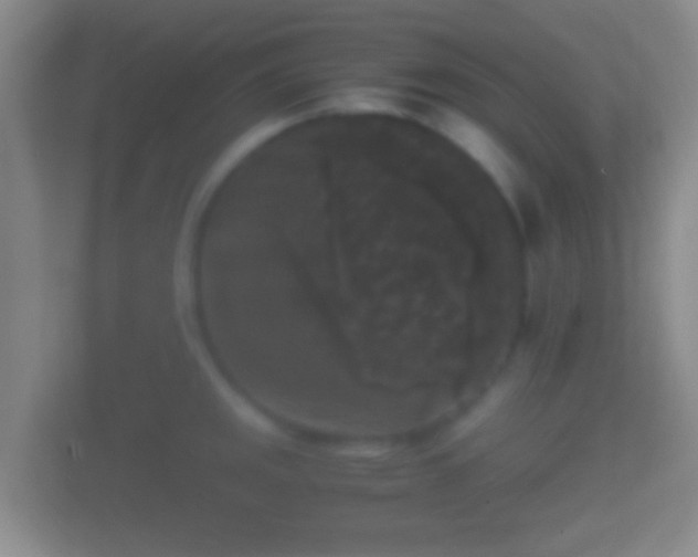 X0000114411141200910231127