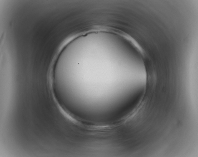 X0000114411143200910231127
