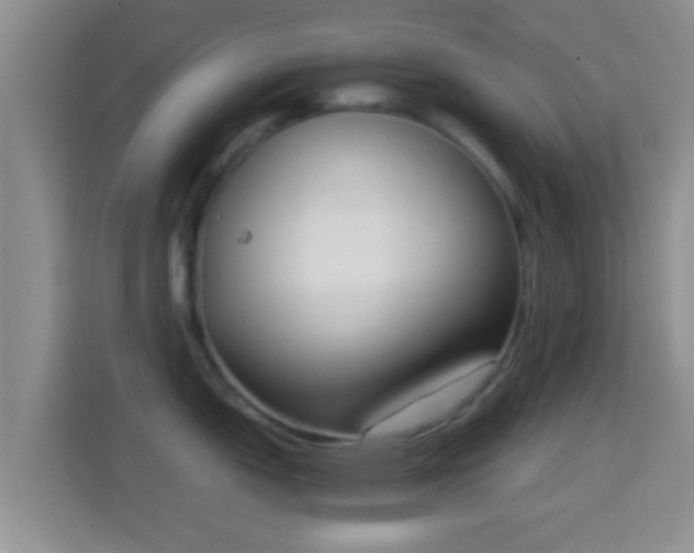 X0000114411151200910231127