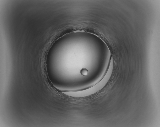 X0000114411153200910231126