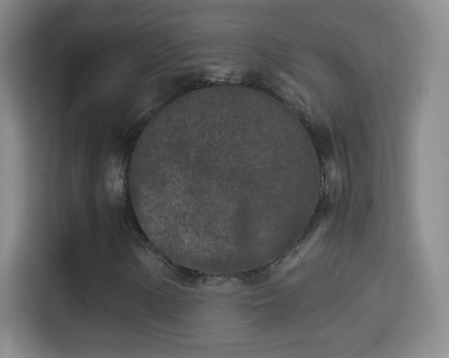 X0000114411154200910231126