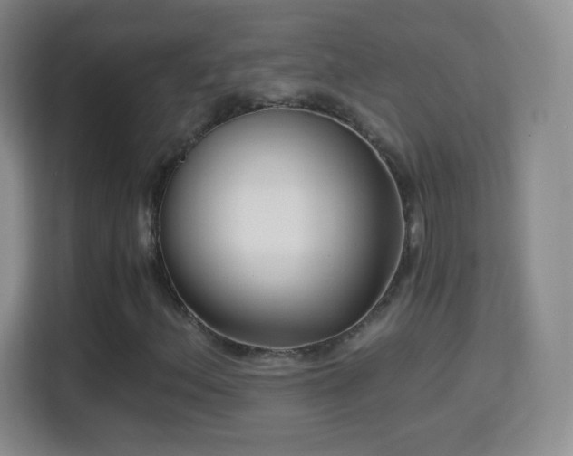 X0000114411156200910231126