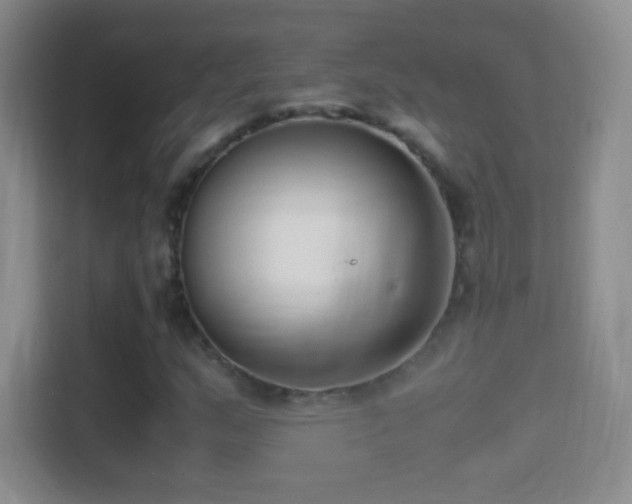 X0000114411159200910231126