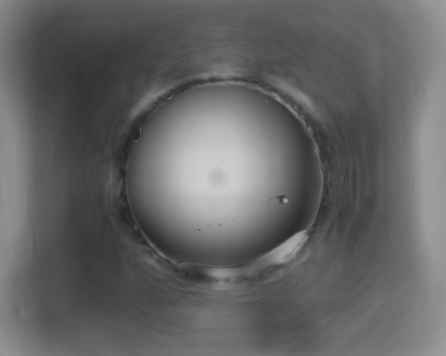 X0000114411160200910231126