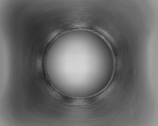 X0000114411162200910231126