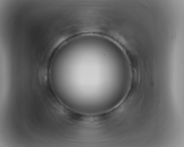X0000114411165200910231126