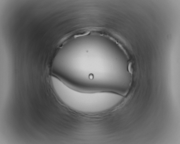 X0000114411169200910231126