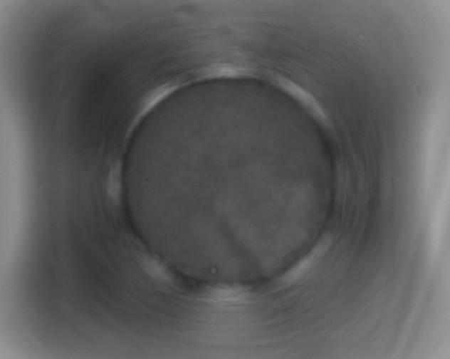 X0000114411170200910231126