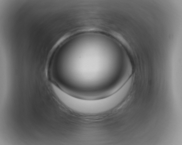 X0000114411173200910231126