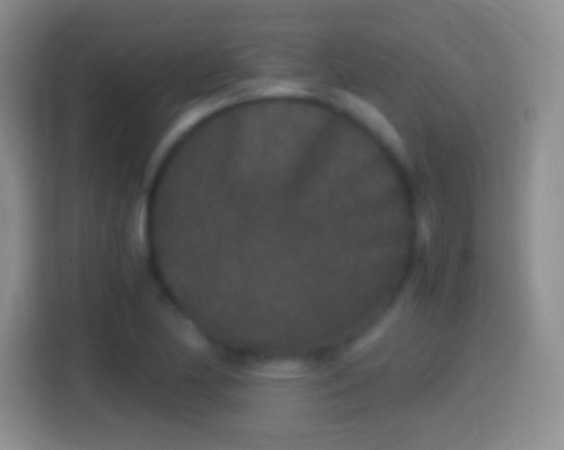 X0000114411174200910231126