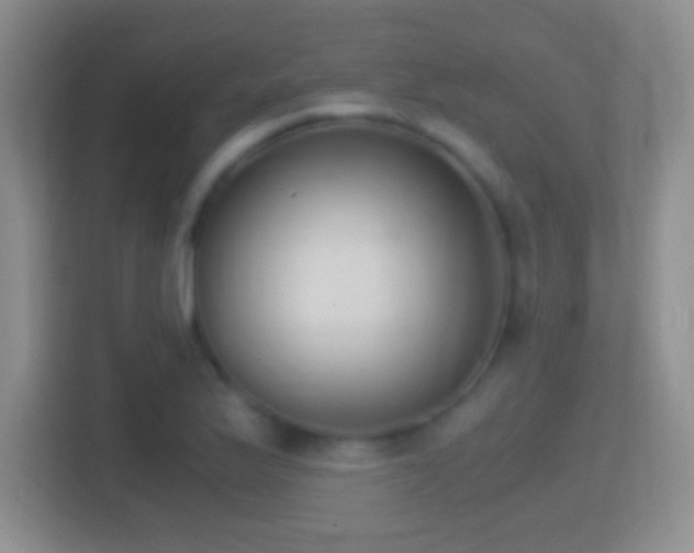 X0000114411175200910231126