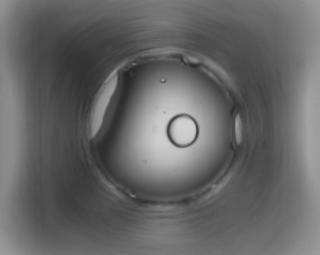 X0000114411177200910231126