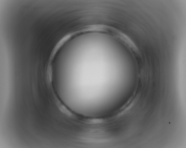X0000114411180200910231126