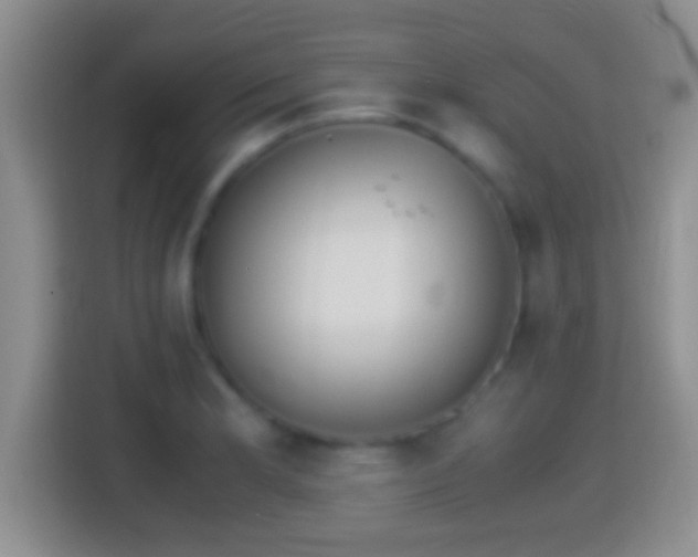 X0000114411181200910231126