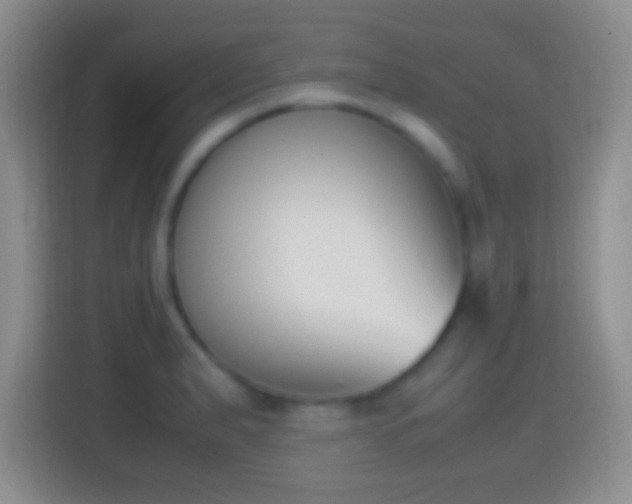 X0000114411183200910231126