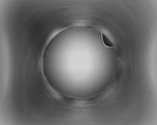 X0000114411187200910231126