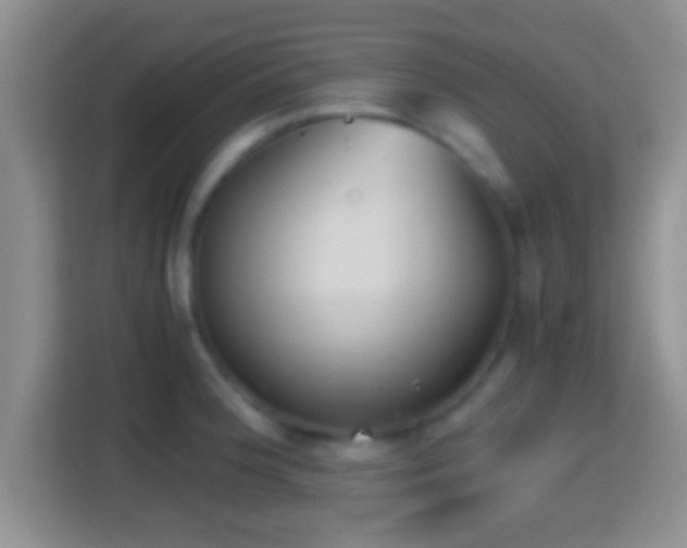 X0000114411188200910231126