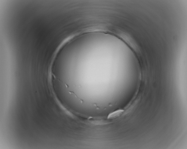 X0000114411189200910231126