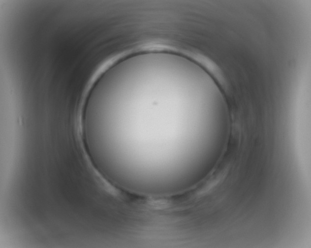 X0000114411191200910231126