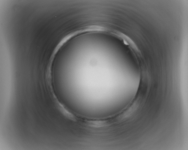 X0000114411192200910231126