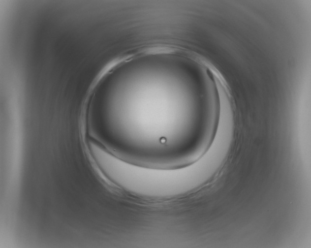 X0000114411195200910231126